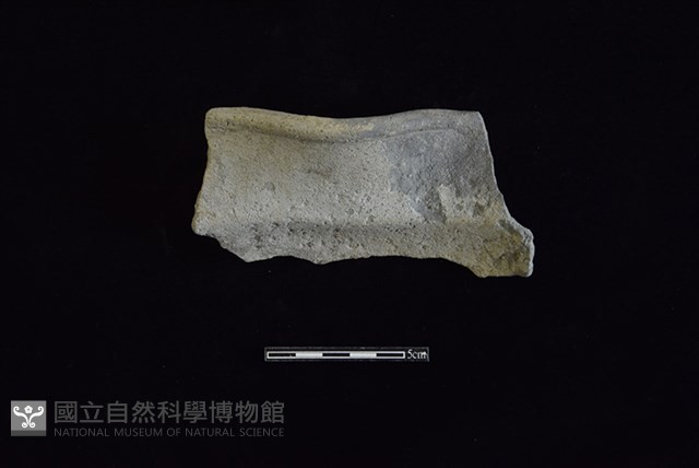 陶罐藏品圖，第2張