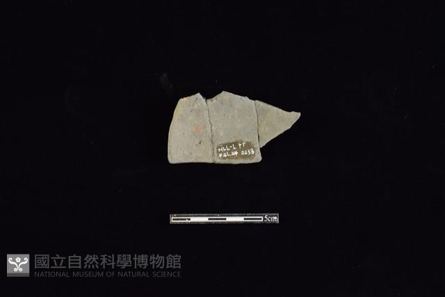 陶片藏品圖，第2張