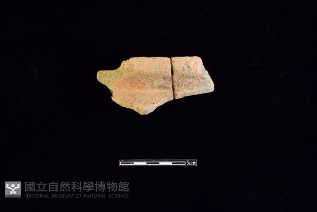 陶罐藏品圖，第2張