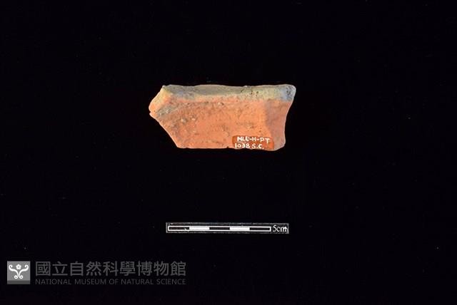 陶片藏品圖，第2張