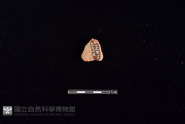 陶片藏品圖，第2張