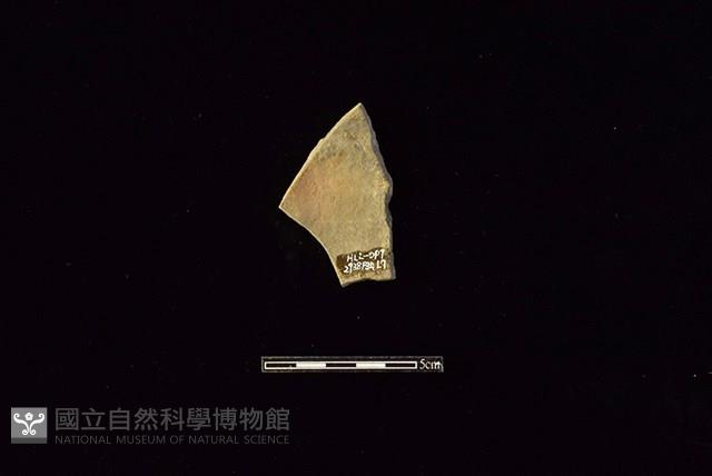 陶片藏品圖，第2張