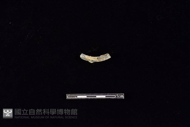 陶環藏品圖，第2張