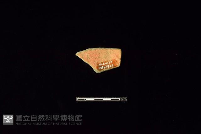 陶片藏品圖，第2張