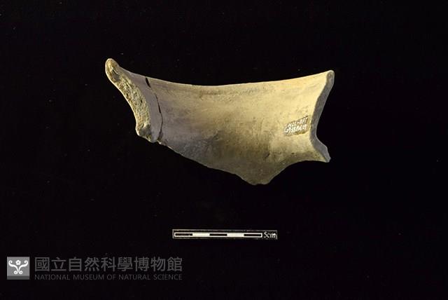 陶罐藏品圖，第2張