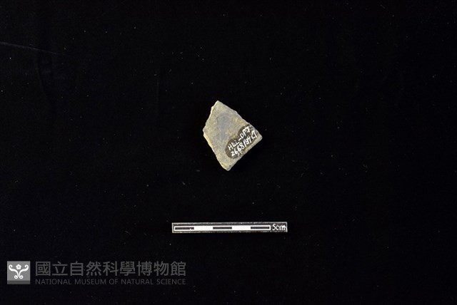 陶片藏品圖，第2張