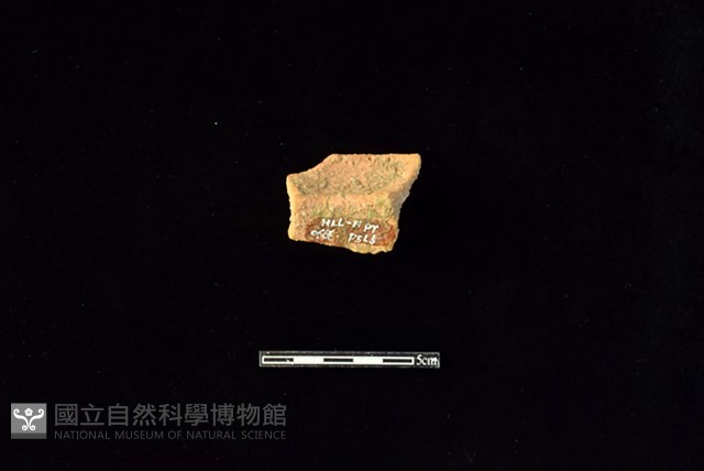 陶罐藏品圖，第2張