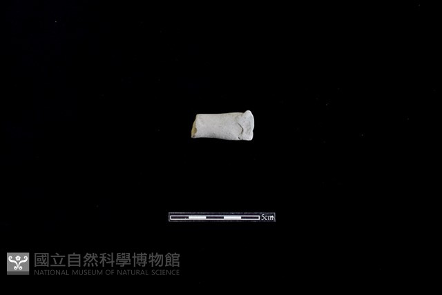 陶把藏品圖，第2張