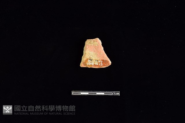 陶片藏品圖，第2張