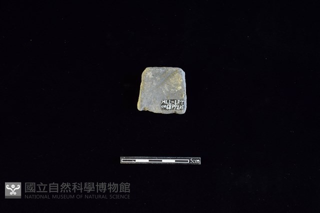 陶片藏品圖，第2張