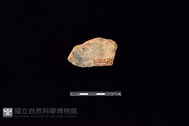 陶片藏品圖，第2張