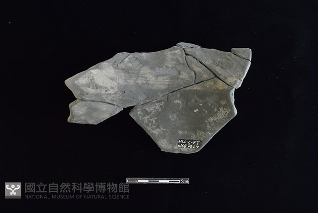 陶罐藏品圖，第2張