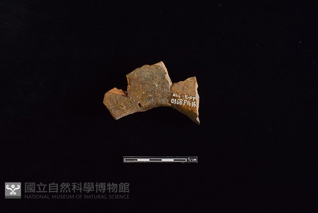 連杯形器藏品圖，第2張