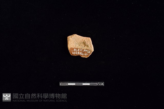 陶片藏品圖，第2張