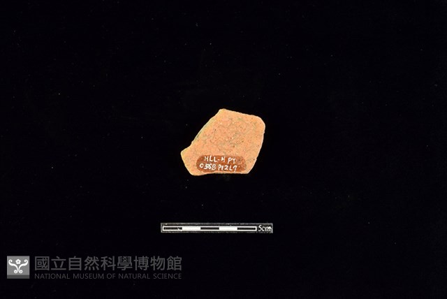 陶片藏品圖，第2張