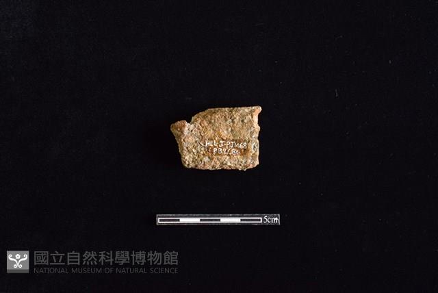 陶片藏品圖，第2張