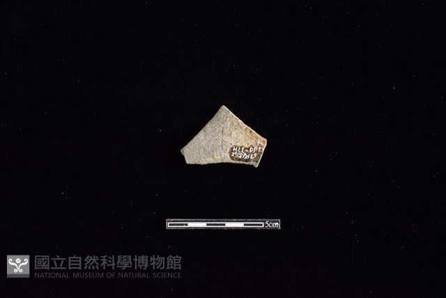 陶片藏品圖，第2張