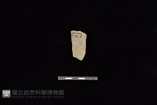 陶片藏品圖，第2張