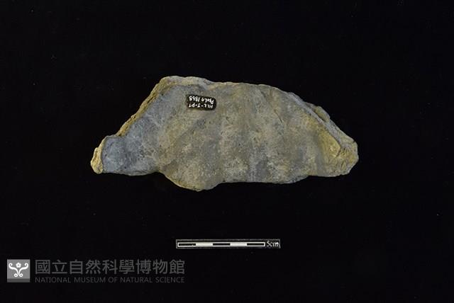 陶片藏品圖，第2張