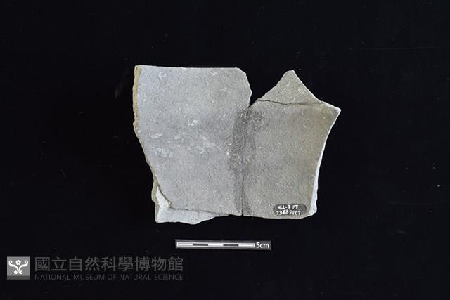 陶罐藏品圖，第2張