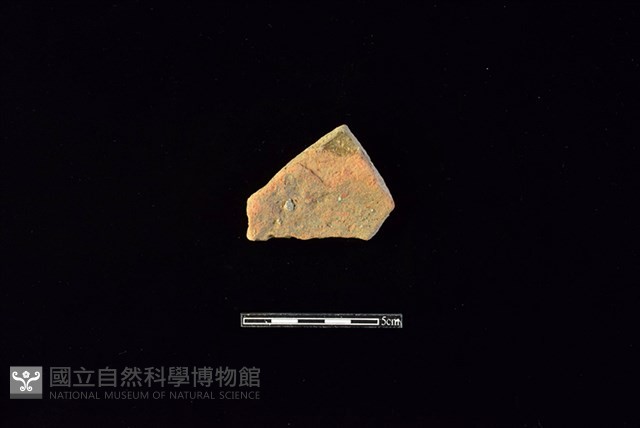 陶片藏品圖，第2張
