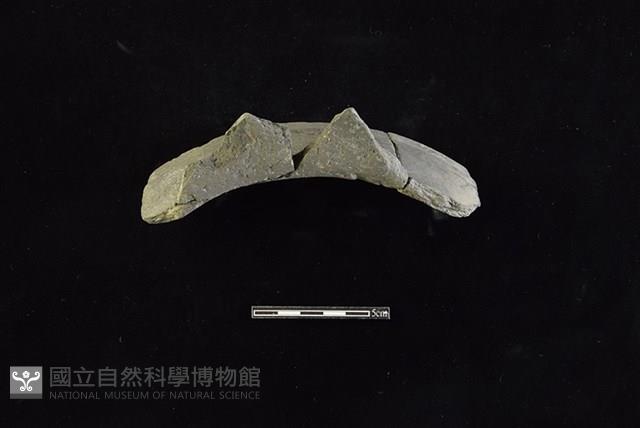 陶罐藏品圖，第2張