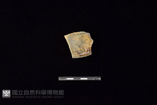 陶片藏品圖，第2張