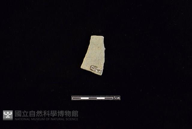 陶片藏品圖，第2張