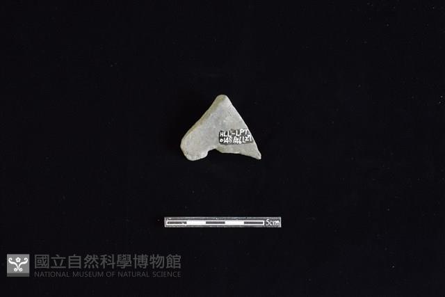 陶片藏品圖，第2張