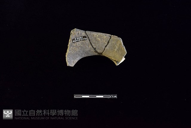 陶罐藏品圖，第2張
