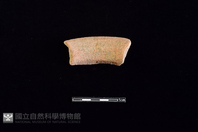 陶罐藏品圖，第2張