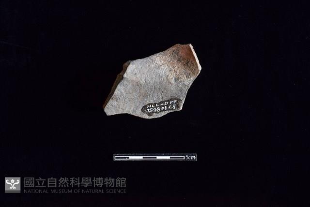 陶罐藏品圖，第2張