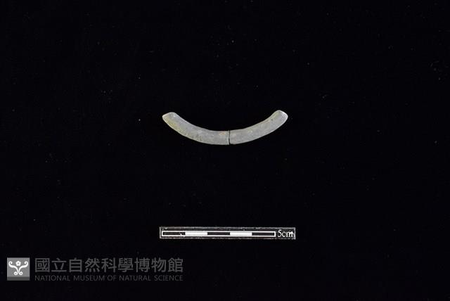 陶環藏品圖，第2張