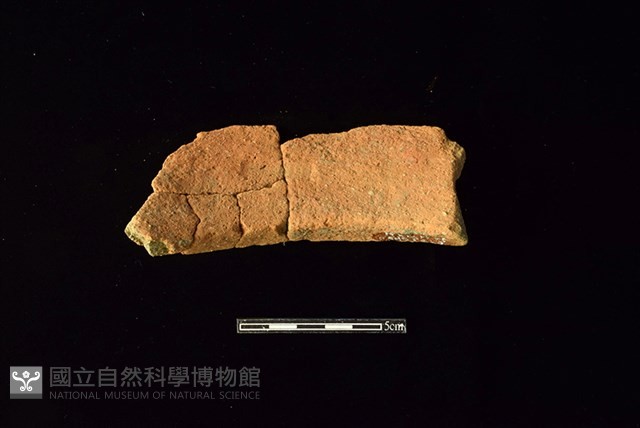 陶罐藏品圖，第2張
