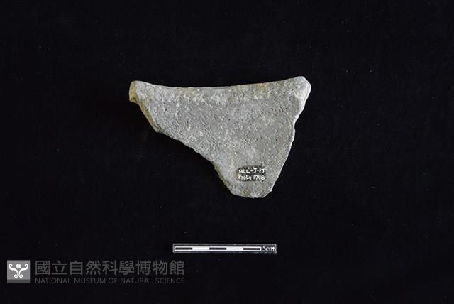 陶罐藏品圖，第2張