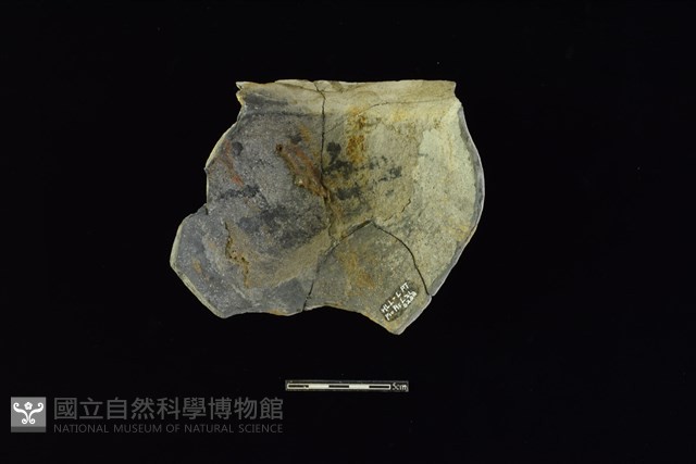 陶罐藏品圖，第2張