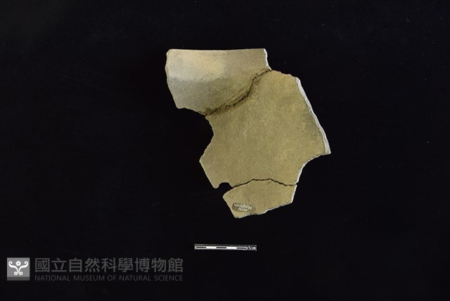 陶罐藏品圖，第2張