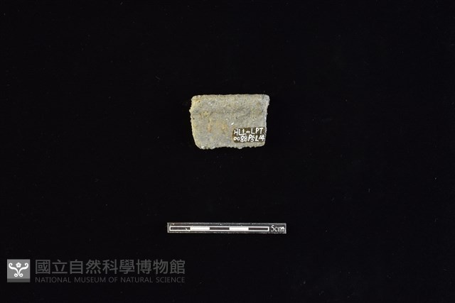 陶罐藏品圖，第2張