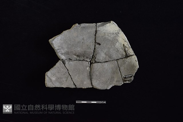 陶罐藏品圖，第2張