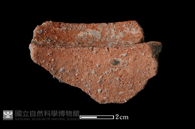 陶罐藏品圖，第2張