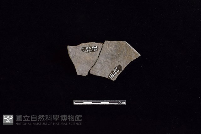 陶片藏品圖，第2張