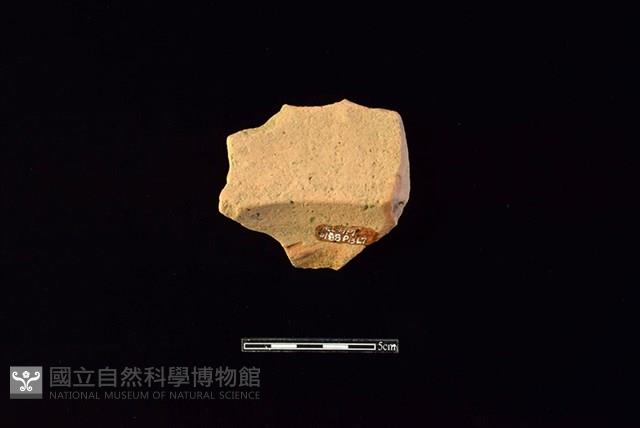 連杯形器藏品圖，第2張