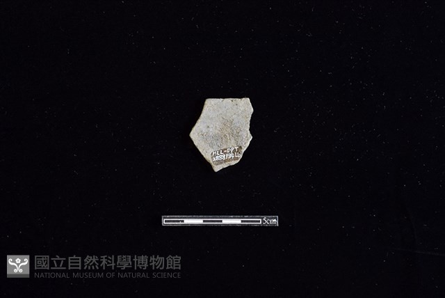 陶片藏品圖，第2張