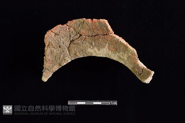 陶罐藏品圖，第2張