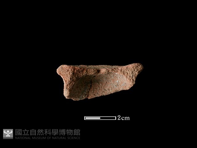 陶片藏品圖，第2張