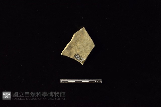 陶片藏品圖，第2張