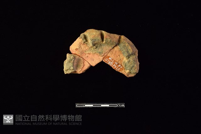 陶片藏品圖，第2張