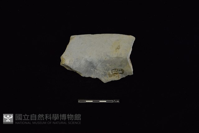 陶罐藏品圖，第2張