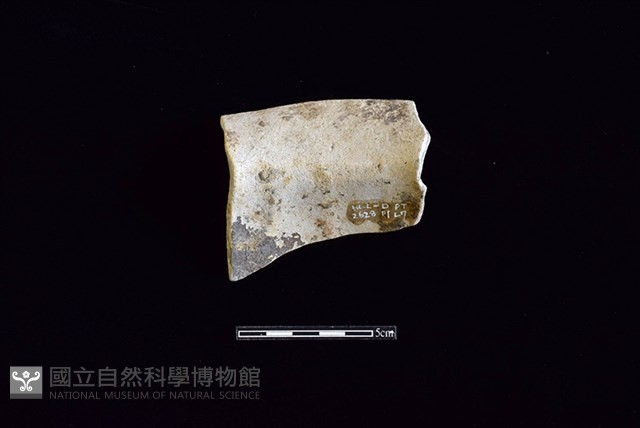 陶罐藏品圖，第2張