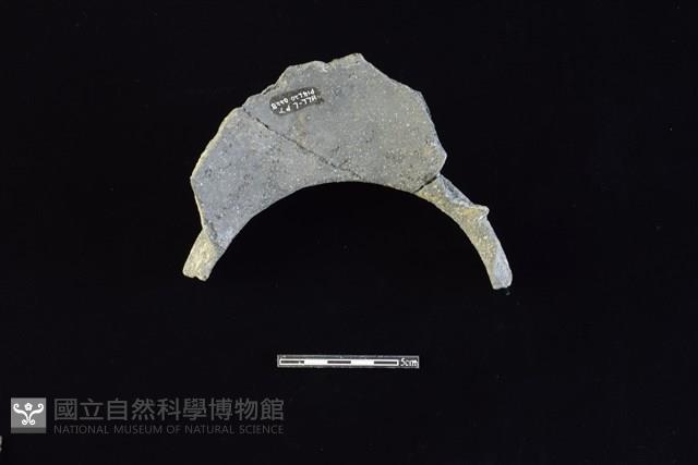 陶罐藏品圖，第2張